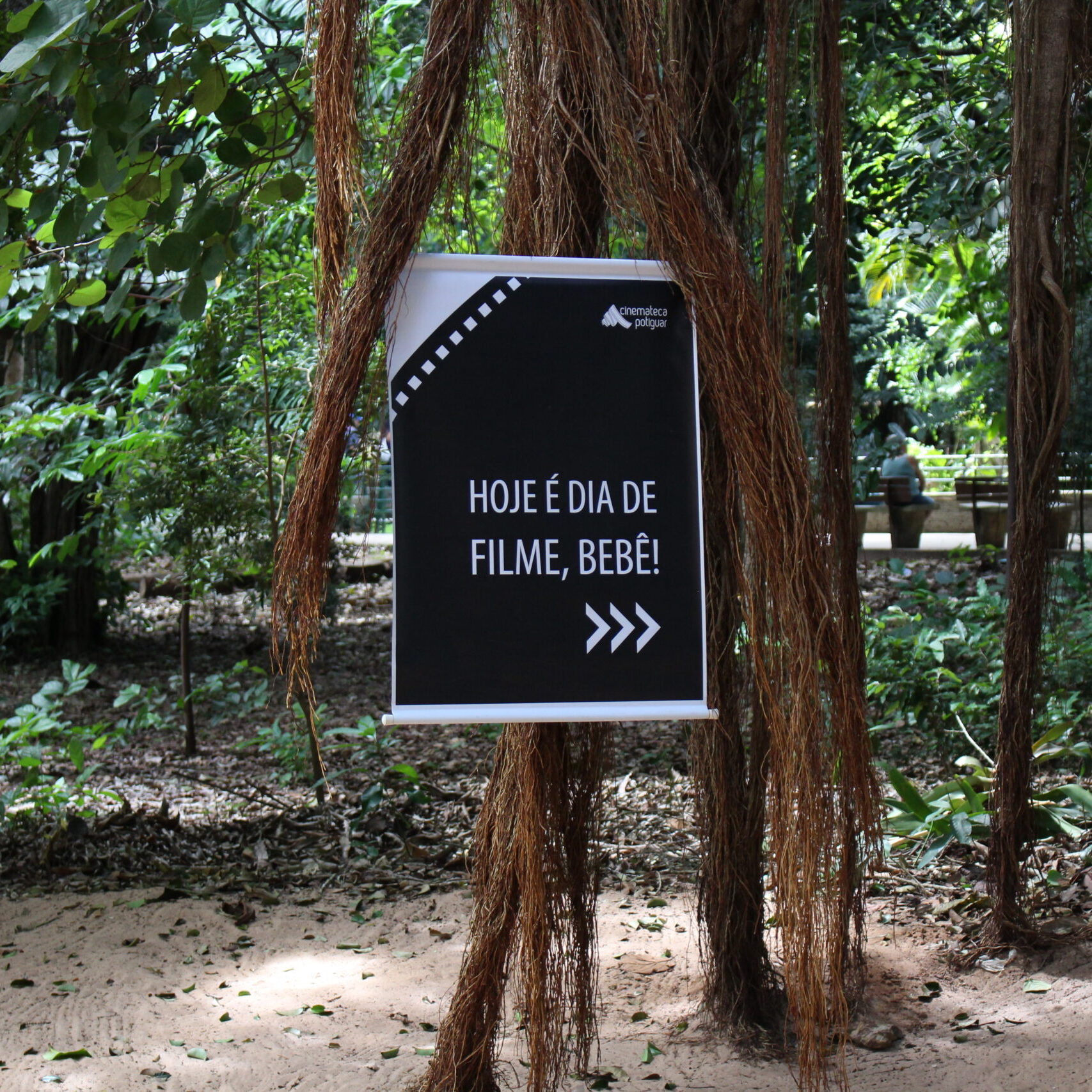 exibição-parque-das-dunas